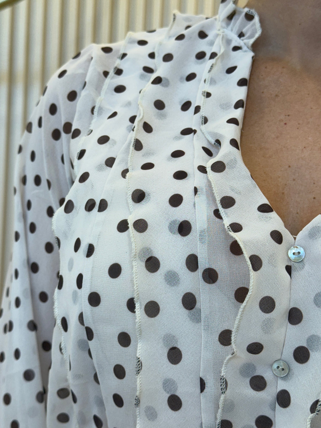 Ruffled Sheer Blouse