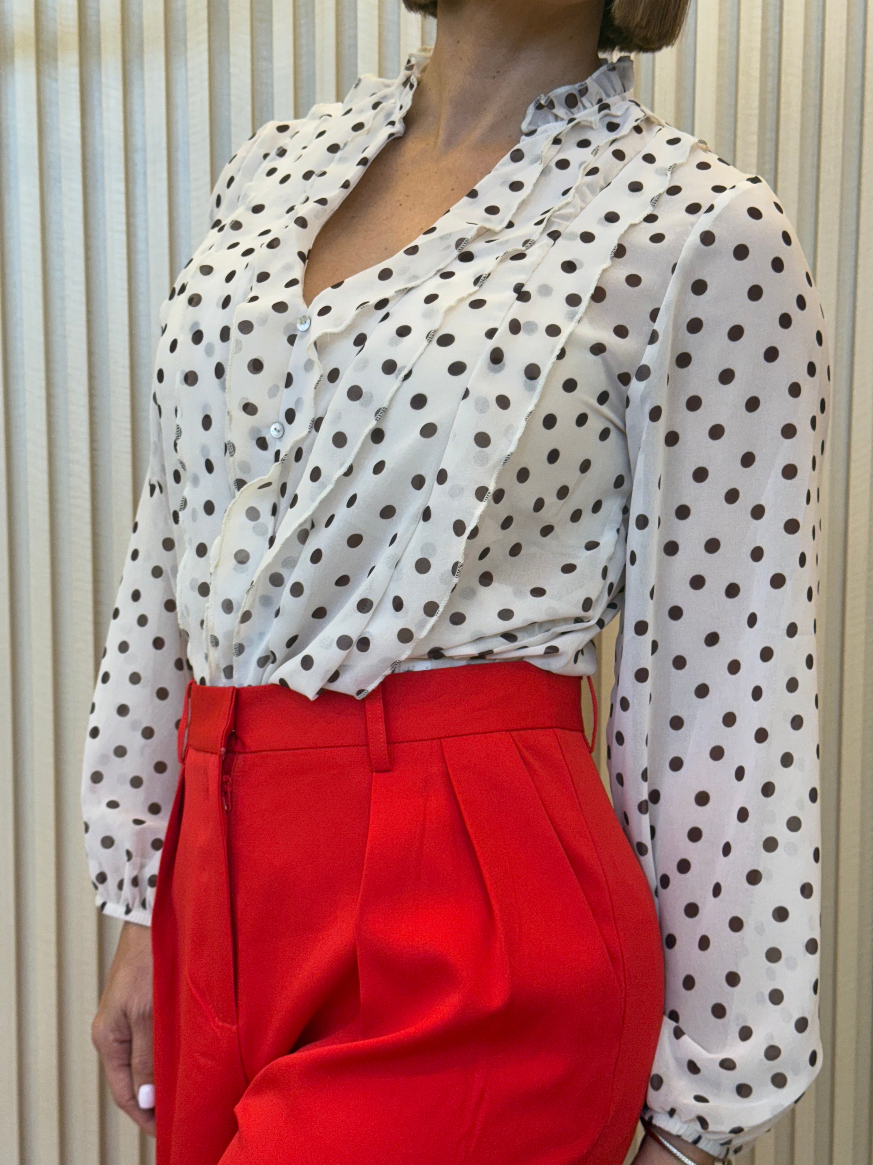 Ruffled Sheer Blouse