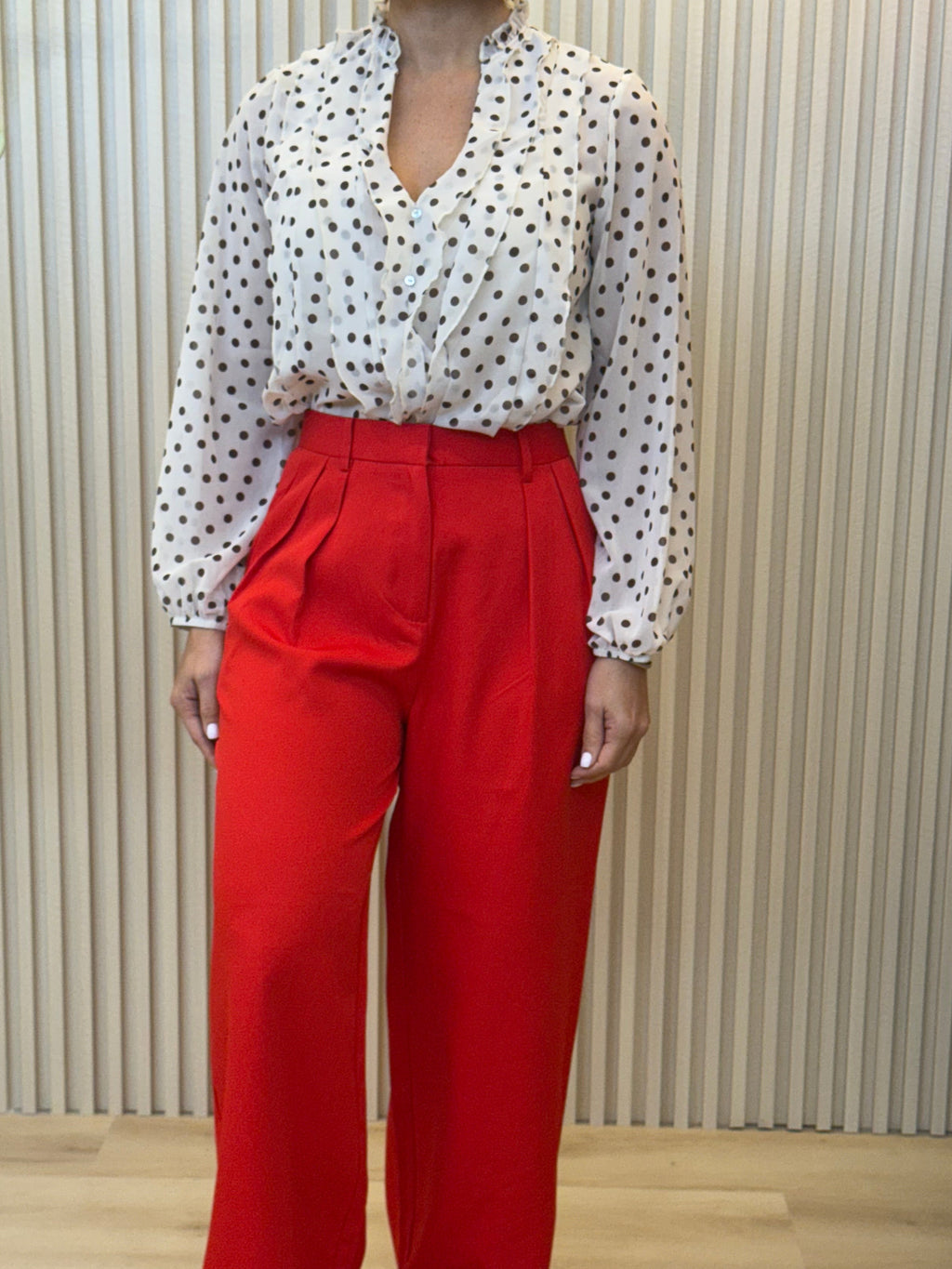 Ruffled Sheer Blouse